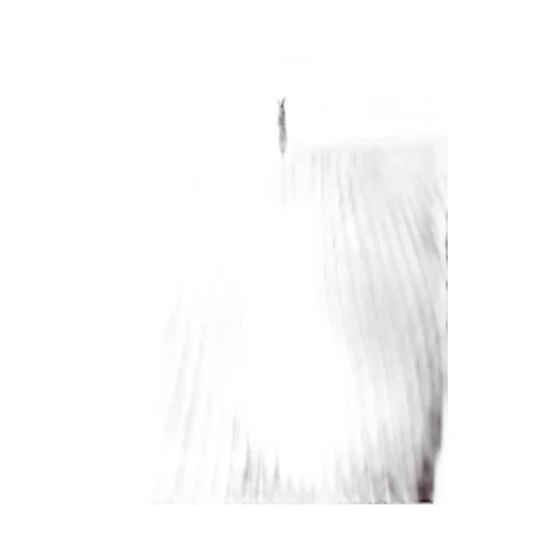Asymmetric Pleated Skirt