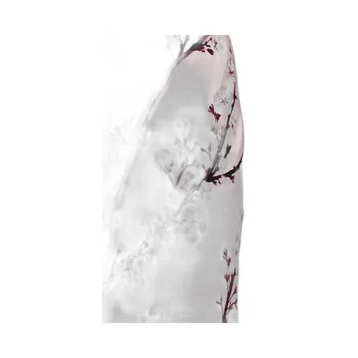 Floral Printed Draped Sleeveless Dress