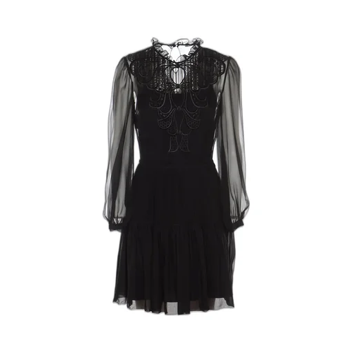 Sheer Sleeves Pleated Dress