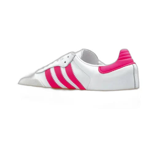 Sambae Shoes