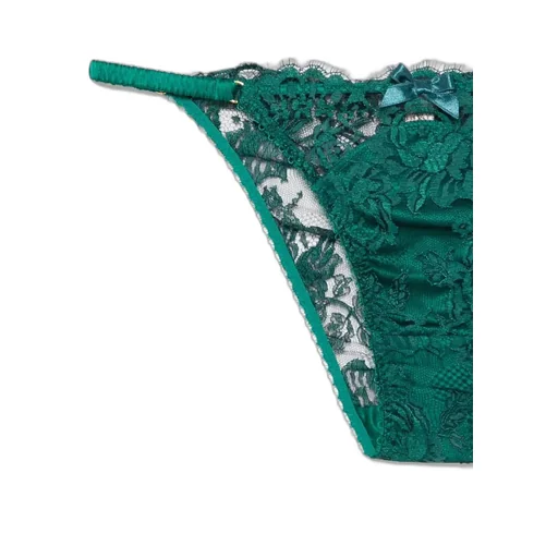 Solanna Lace Brief