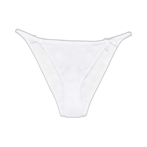 Alysia Brief