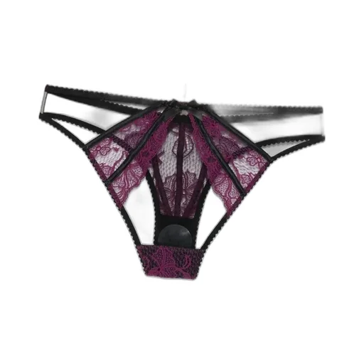 Rozlyn Lace Brief
