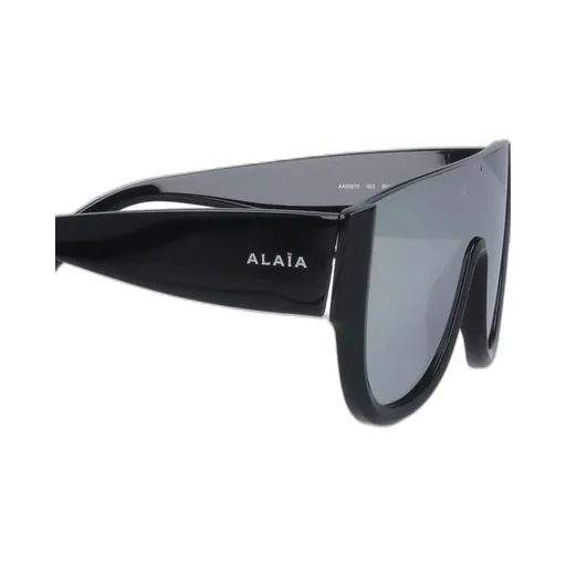 Oversized Sunglasses