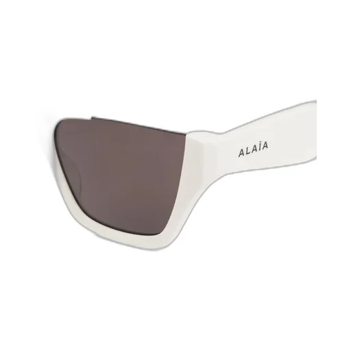 Rectangular Frame Sunglasses