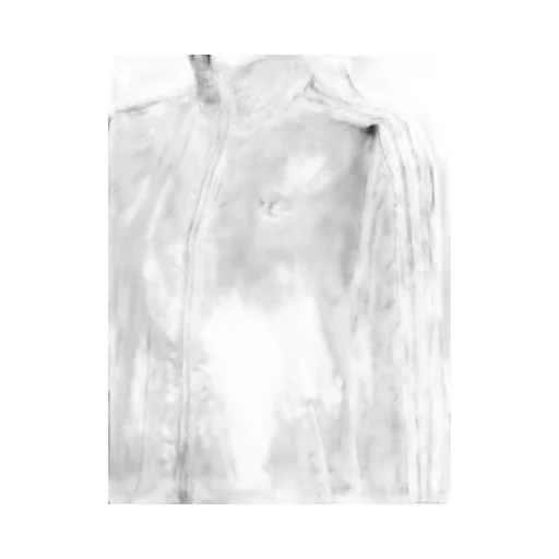 Ruffle 3-Stripes Satin Firebird Track Top