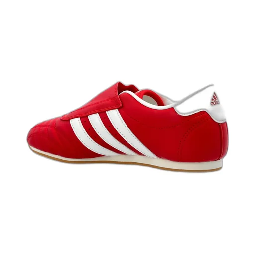 Taekwondo Sneakers