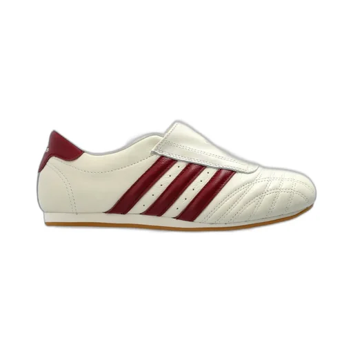 Taekwondo Sports Shoes