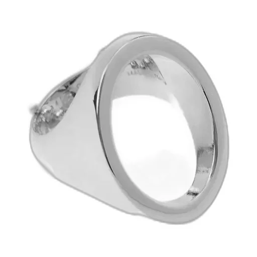 Ring-Charm Necklace