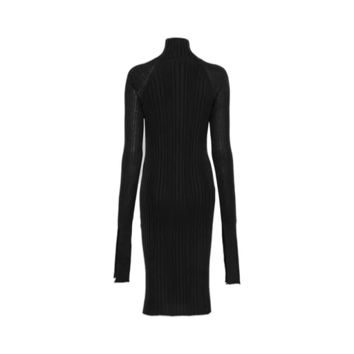 Ribbed Turtleneck Dress
