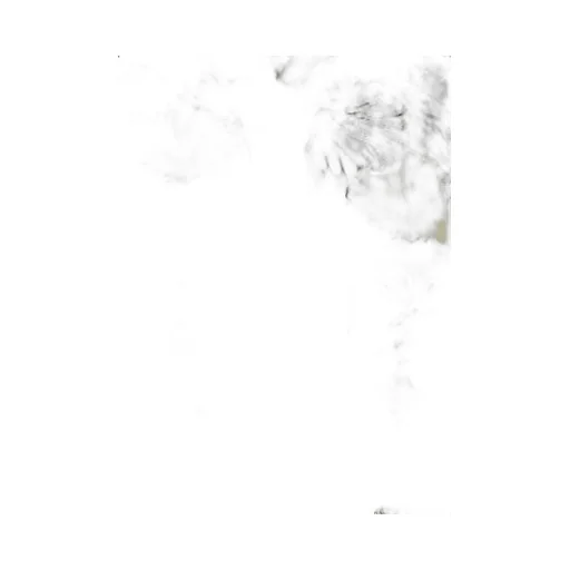 Floral Print Collared Button-Up Shirt