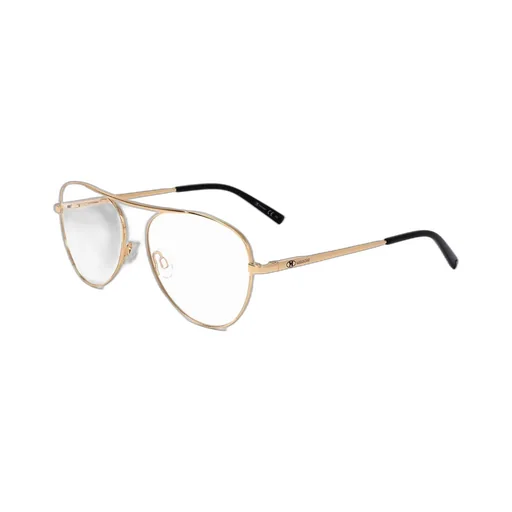 Aviator Glasses