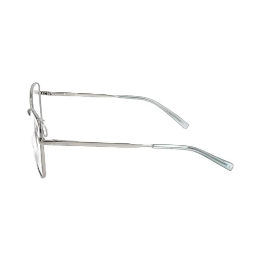Butterfly Frame Glasses