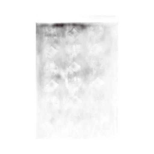 Logo Printed Frayed Edge Scarf