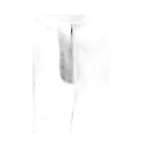 Wide-Leg Tailored Trousers