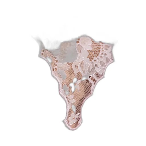 Lace Slip Dress