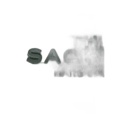 The Sack Bag