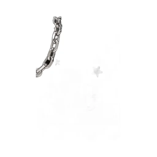 The Star Embellished Dual Chain Shoulder Bag