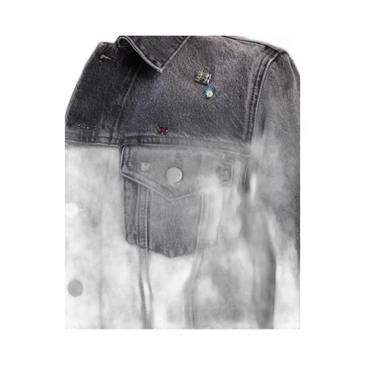 Embellished Denim Jacket