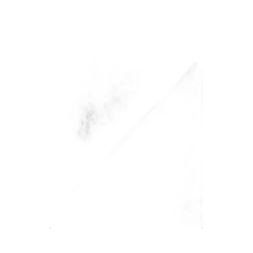 Logo Patch Fringed Scarf