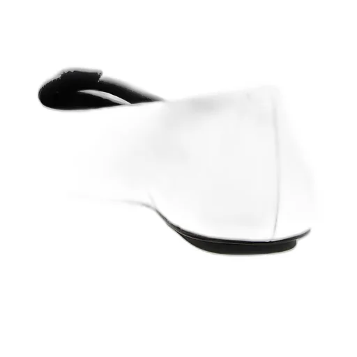 The Kat Ballerina Shoes