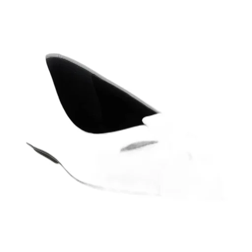 The Kat Ballerina Shoes