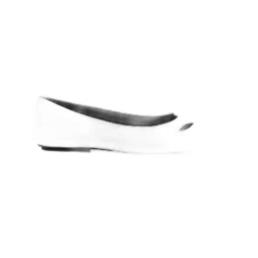 The Kat Ballerina Shoes