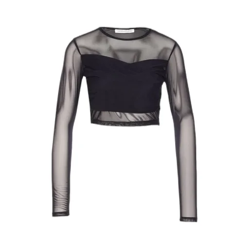 Sheer Long Sleeve Top