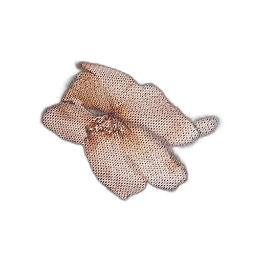 Floral Mesh Cropped Top