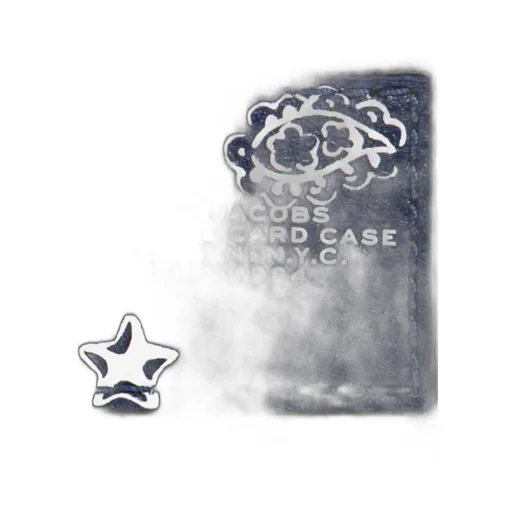 The Card Case