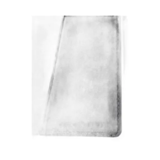 The Passport Holder