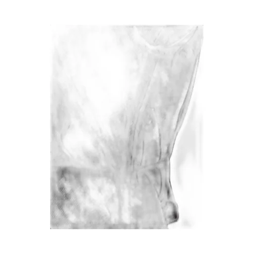Corset Top