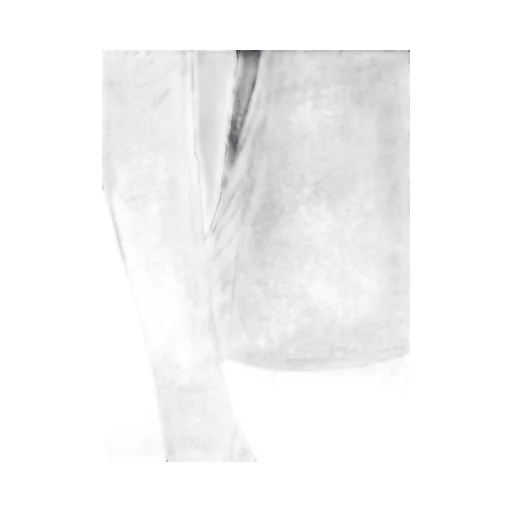 Long Sleeve Sheer T-Shirt