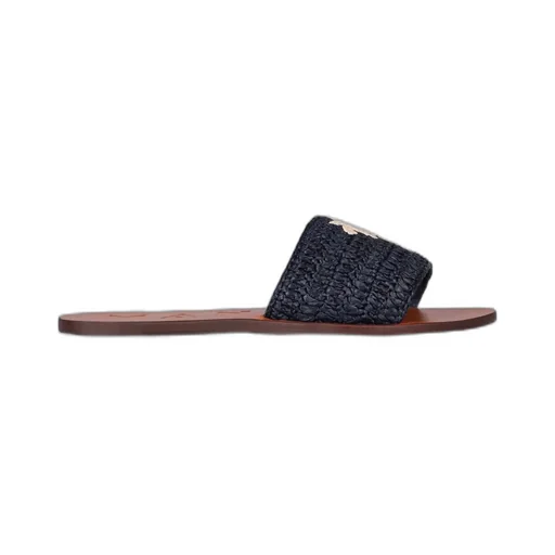 Palm Tree Slides
