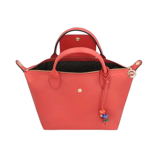 Le Pliage Cuir Top Handle Bag