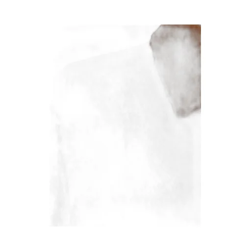 Sleeveless Coat