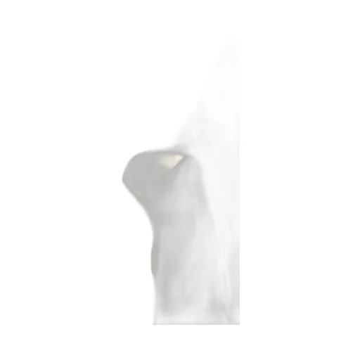 Draped Blouse