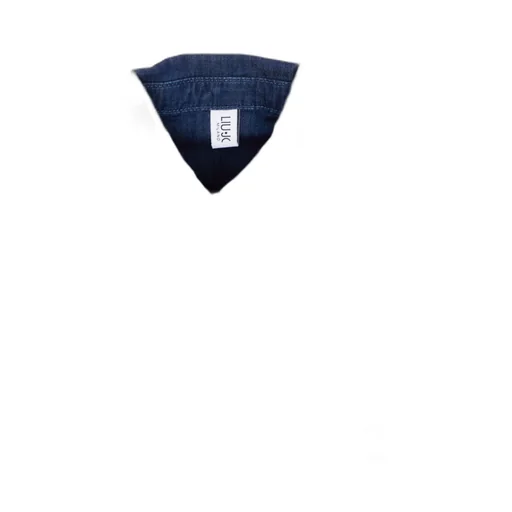 Denim Shirt With Rhinestones