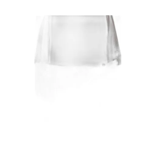 Goya Puffer Bag