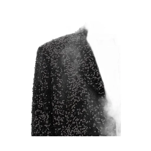 Sequined Blazer