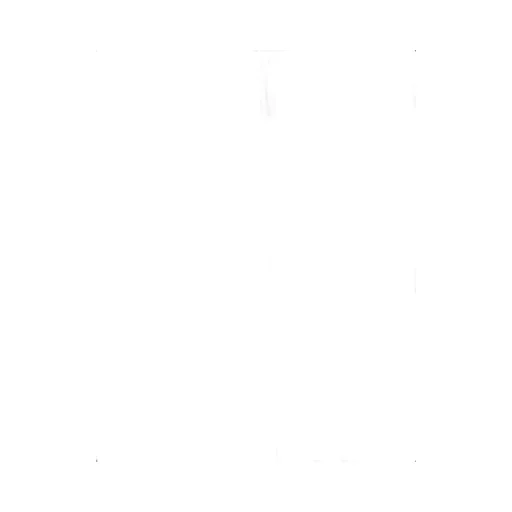 Pleated Asymmetrical Skirt