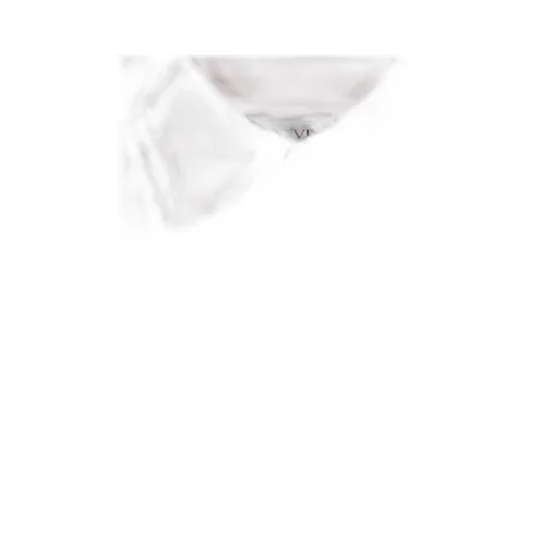 Silk Shirt