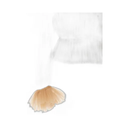 Tulle Blouse