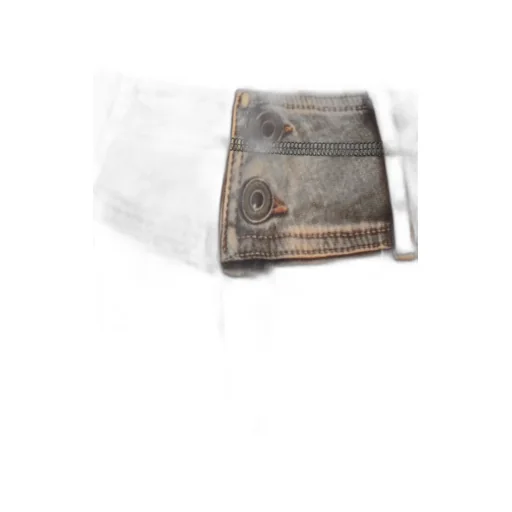 Sheer Mesh Flare Pants