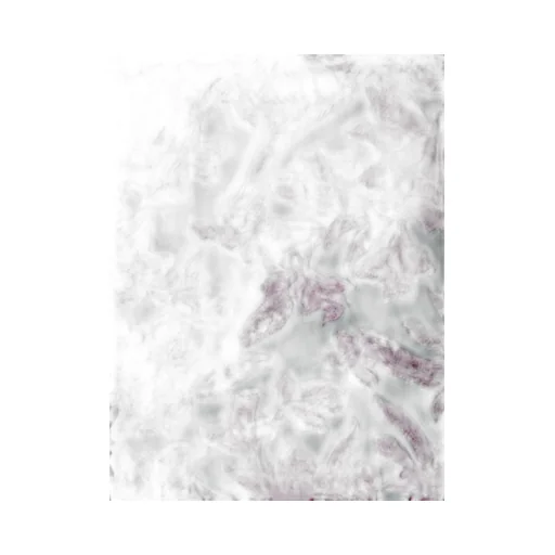 Floral Print Maxi Dress