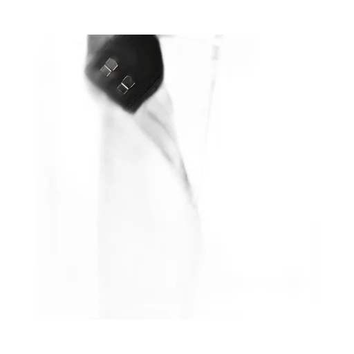 High-Waisted Wide-Leg Trousers