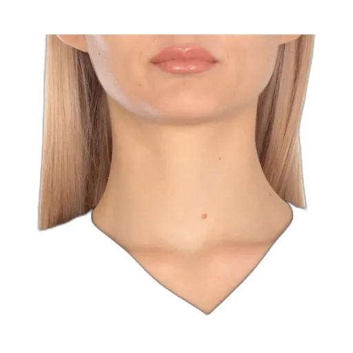 V-Neck T-Shirt