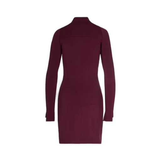 Long Sleeve Mini Dress