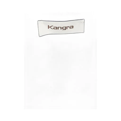 V-Neck T-Shirt