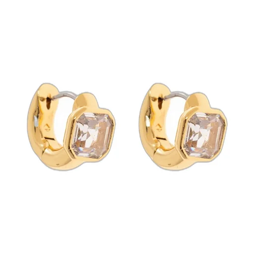 Hoop Earrings With Crystal